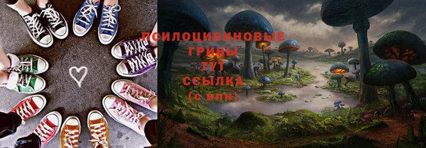 соль курить ск Алзамай